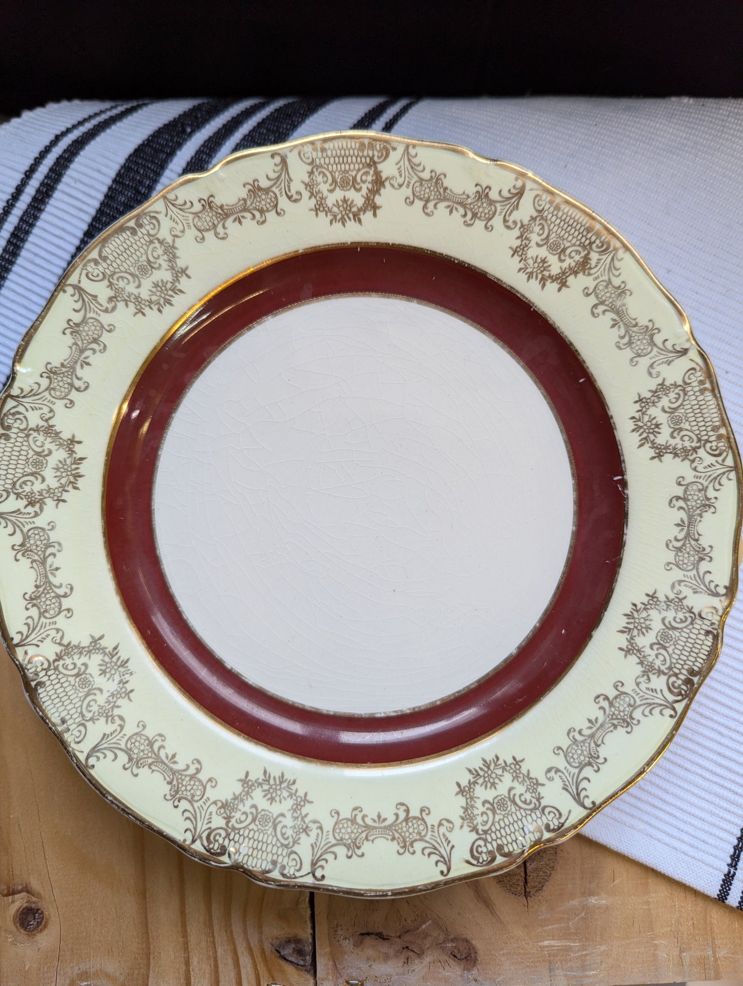 Burslem "Midwinter" Dinner Plates