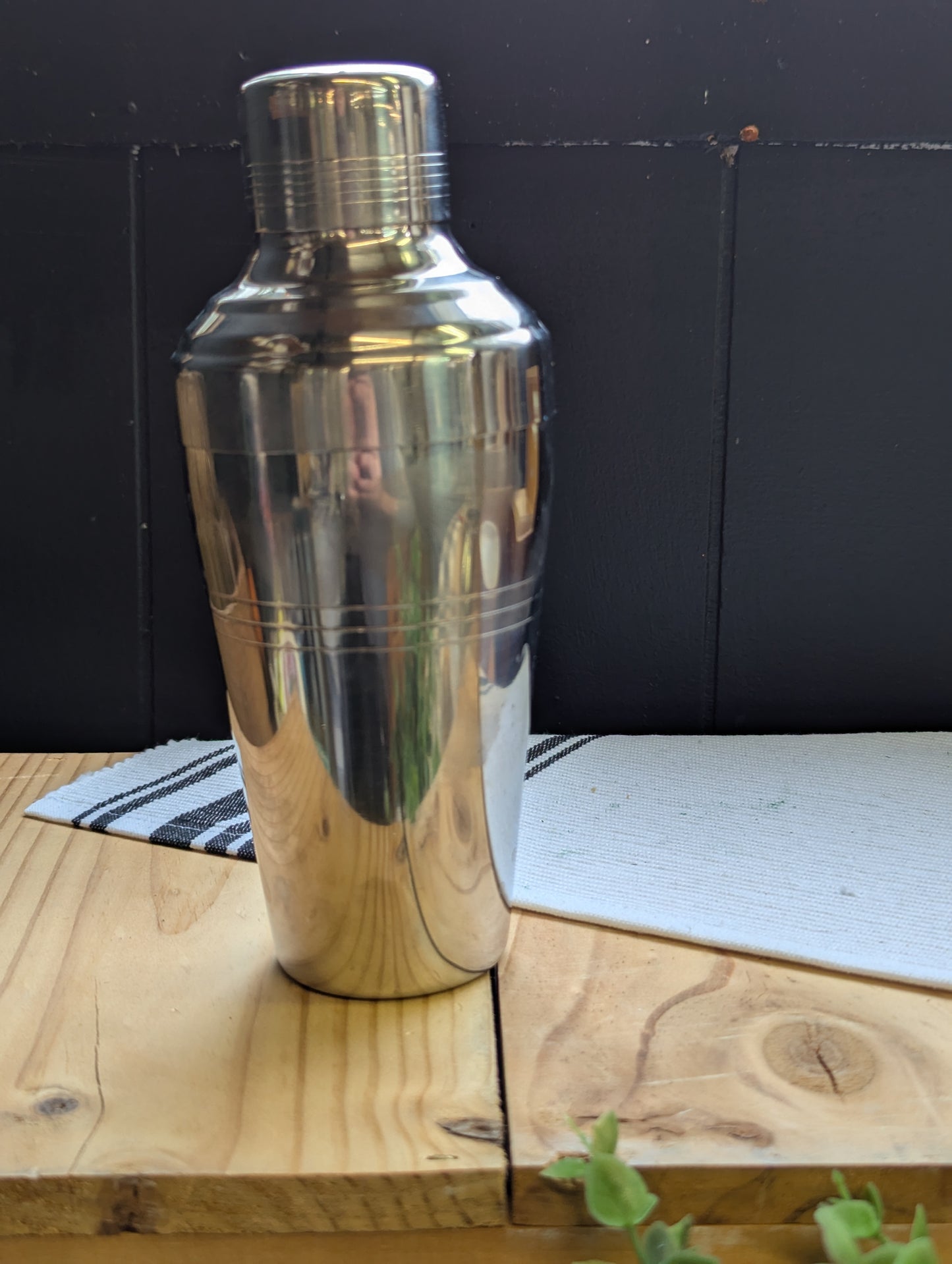 Stainless Steel Martini Shaker