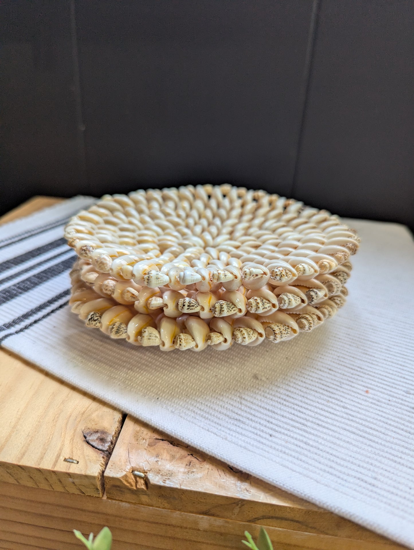 Cowrie Shell Trinket