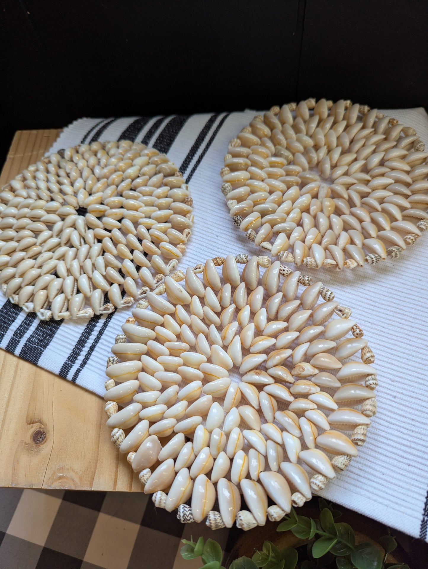 Cowrie Shell Trinket