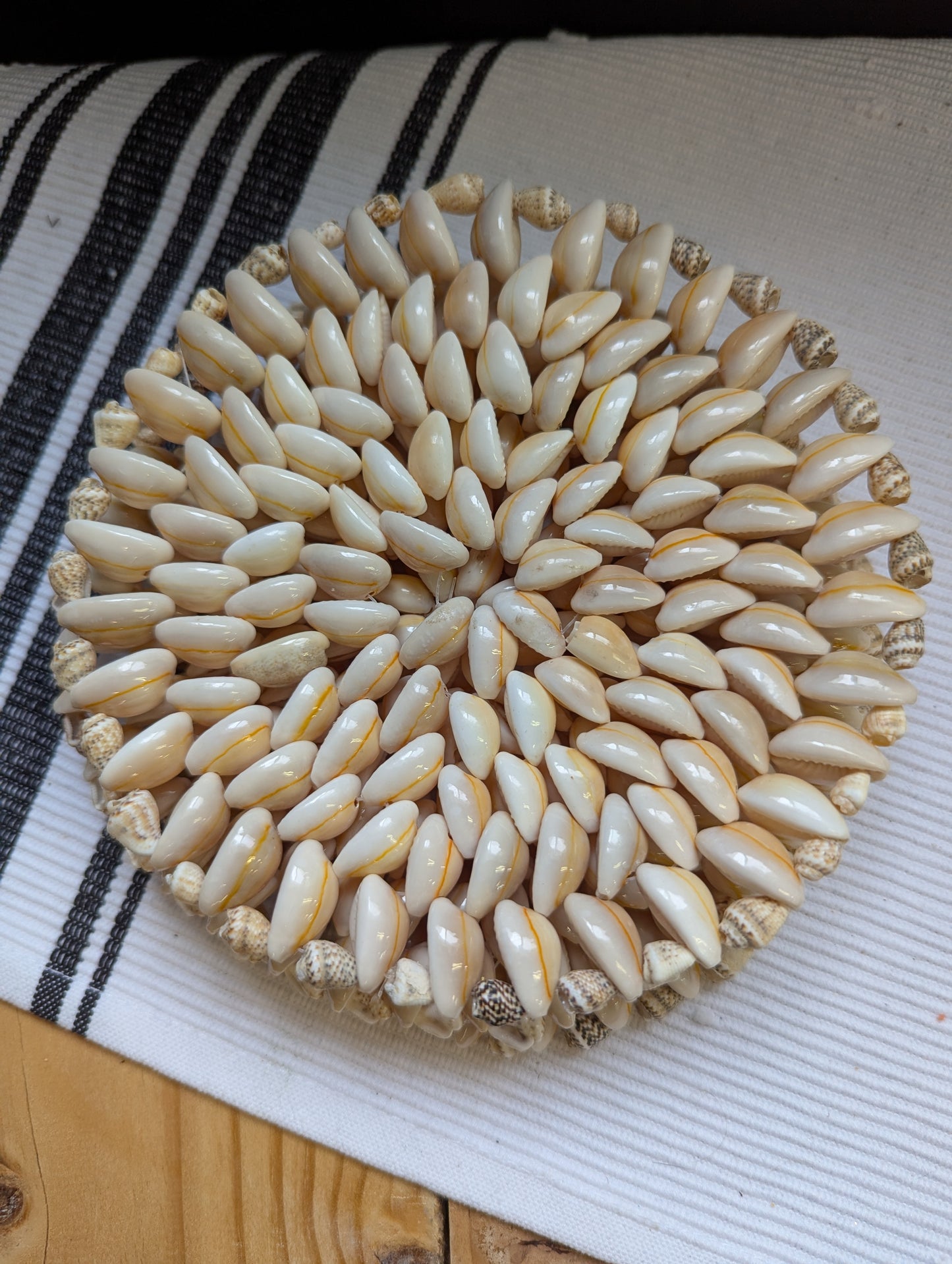 Cowrie Shell Trinket