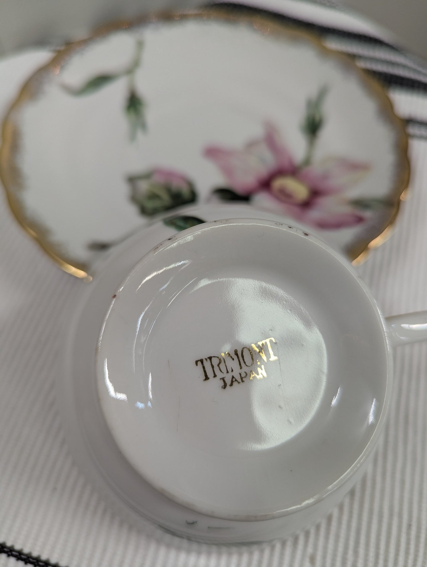 Trimont Pink Orchid Teacup and Saucer