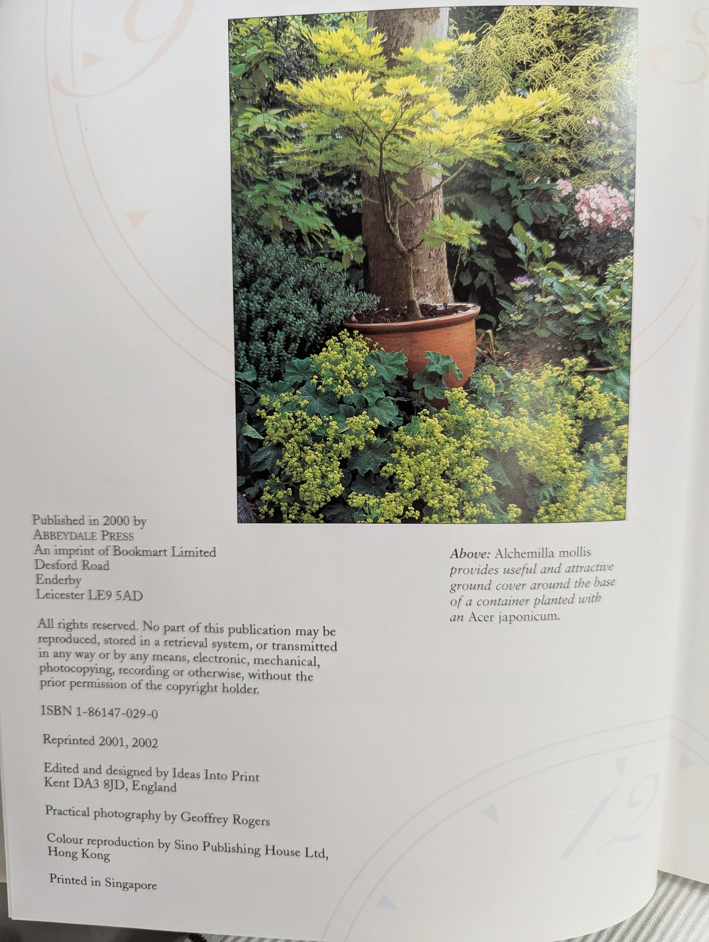 The Busy Person's Guide To The 20 Minute Garden