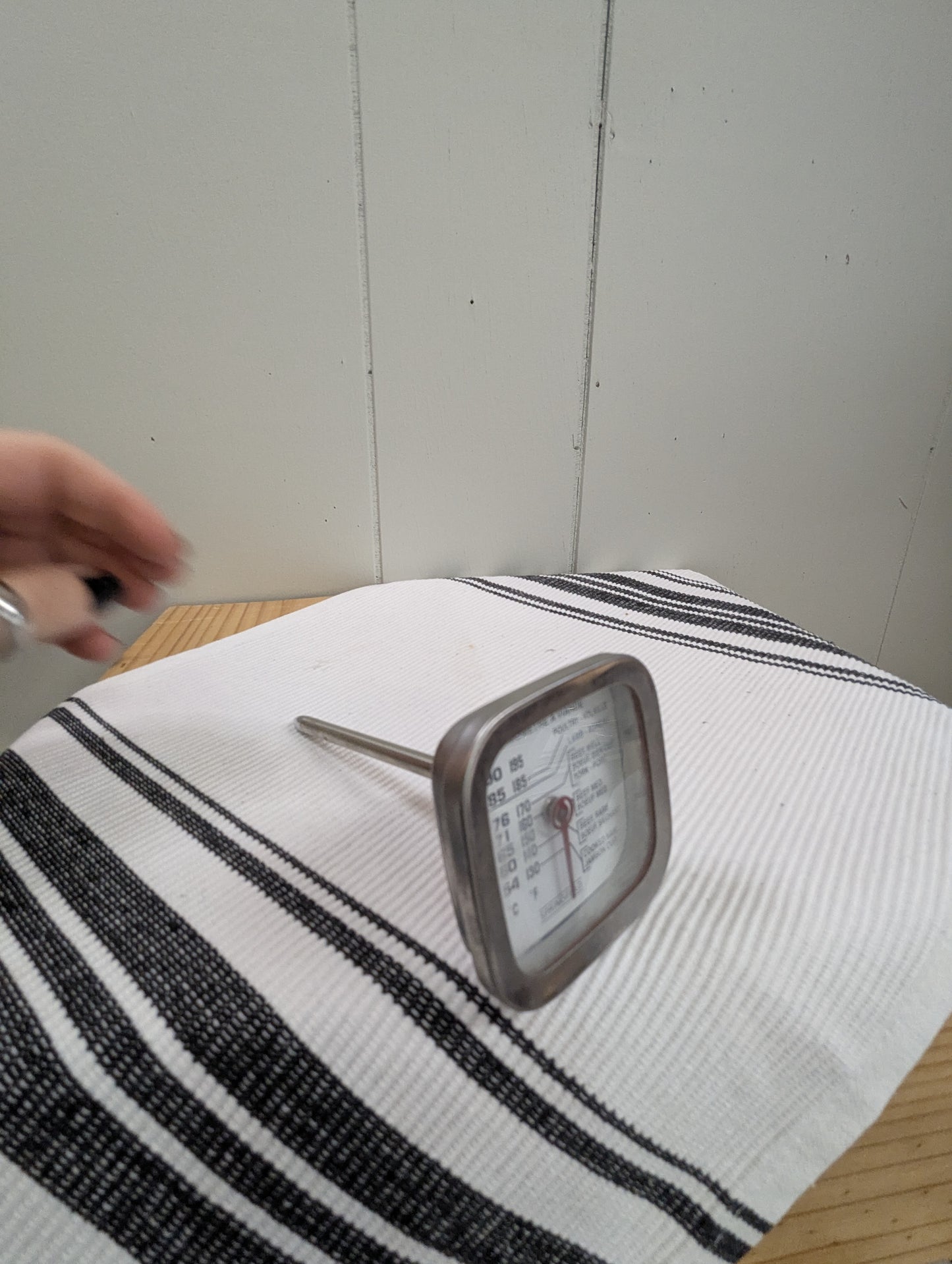 All Purpose Meat Thermometer (Sqauare)