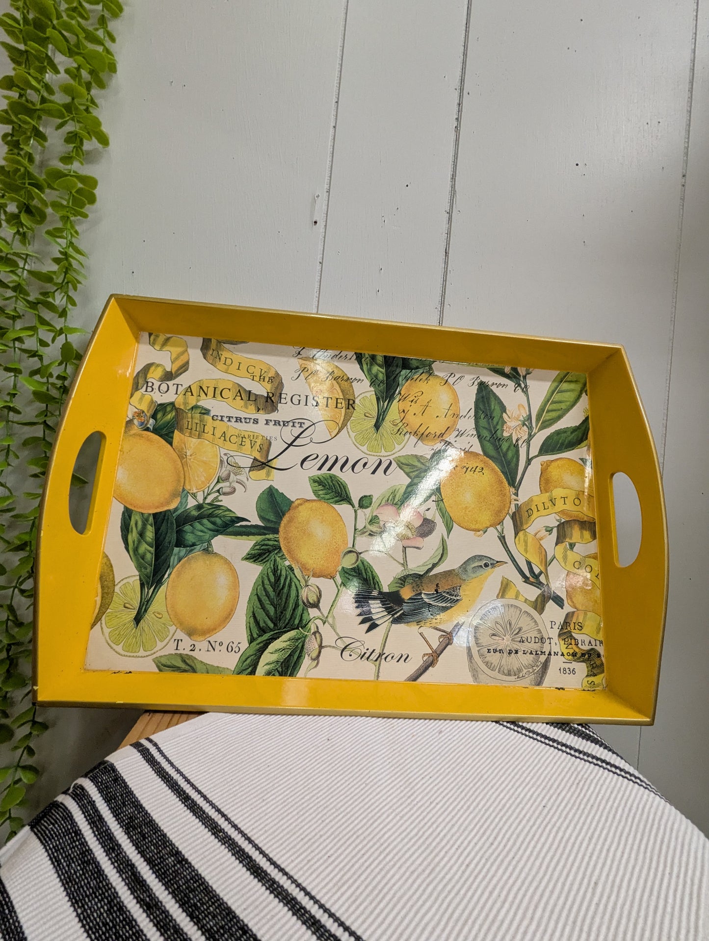 Serving Tray