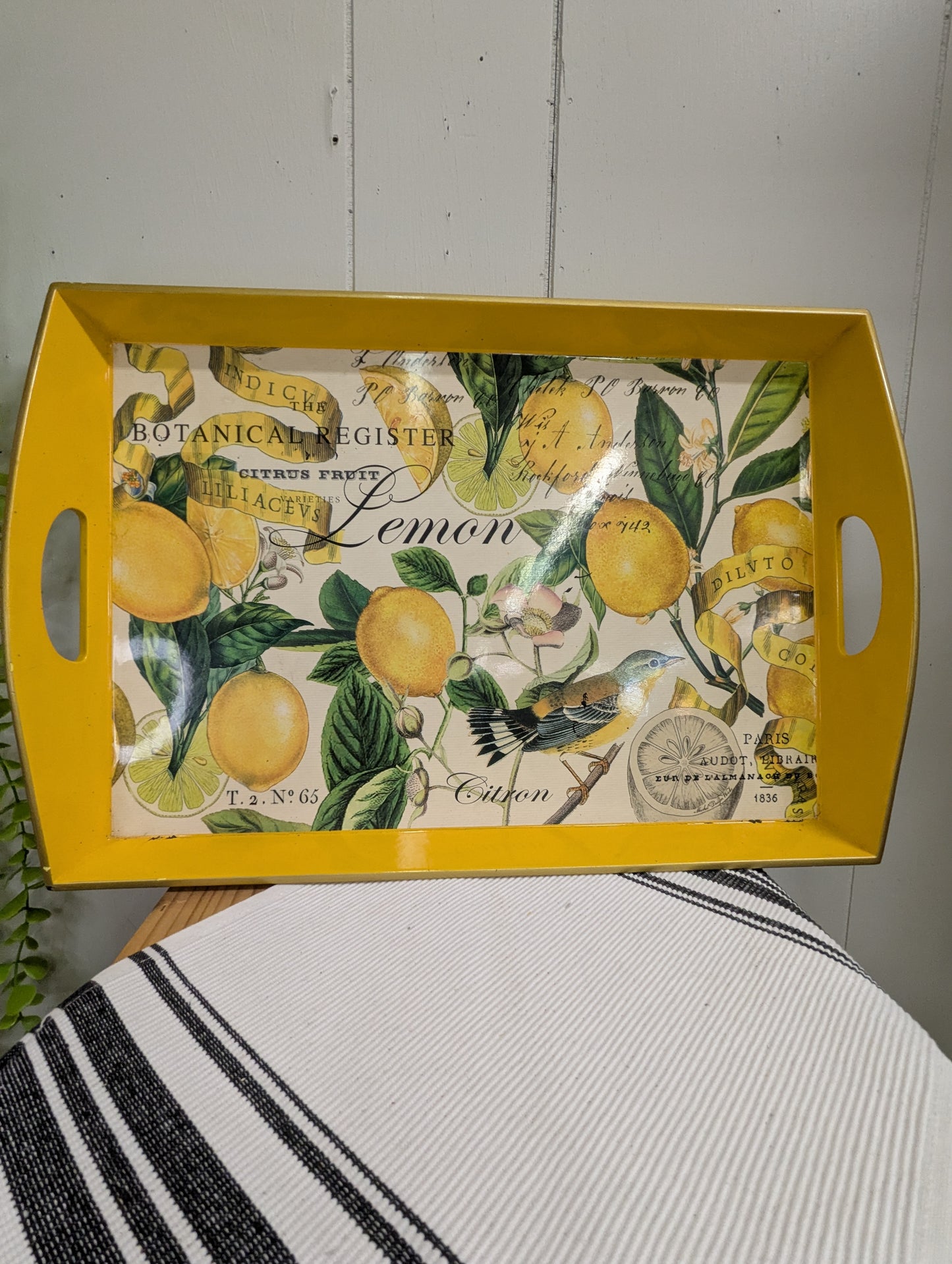 Serving Tray