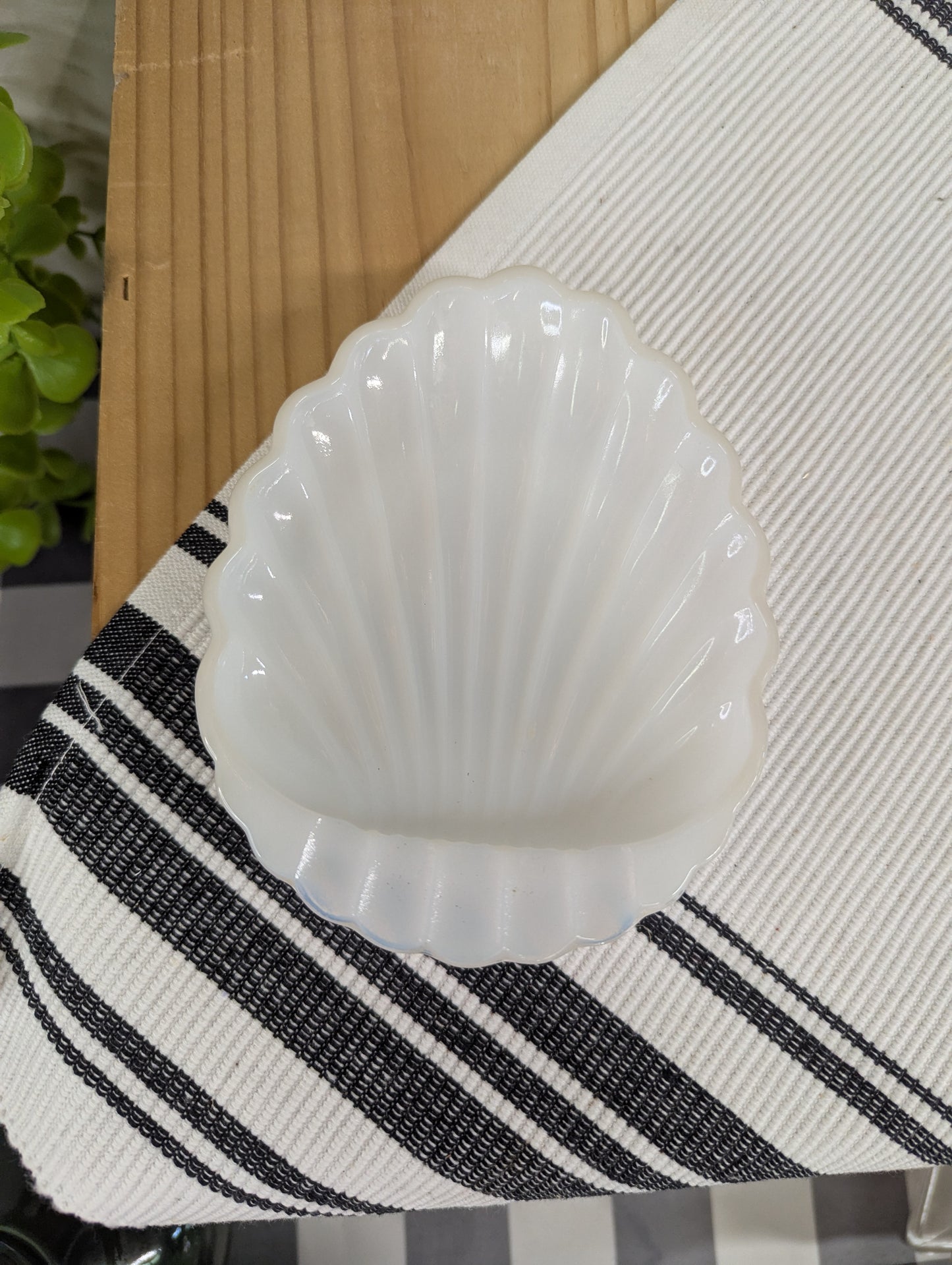 Small Shell Trinket Dish