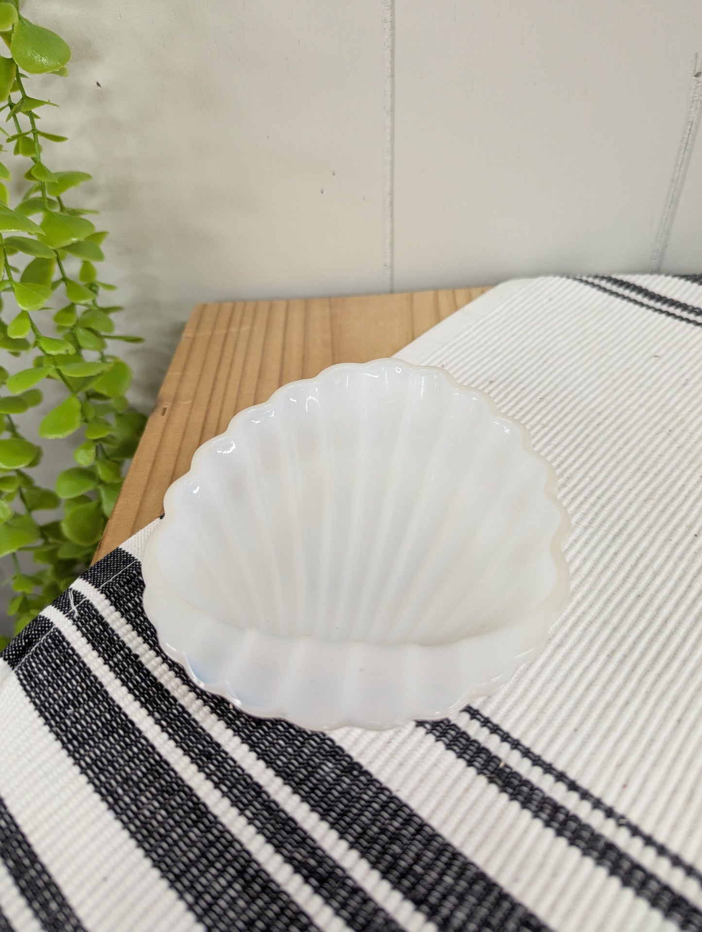 Small Shell Trinket Dish