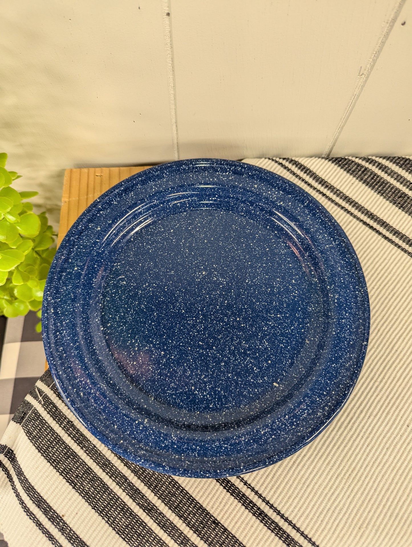 Blue Enamel Camp Plates
