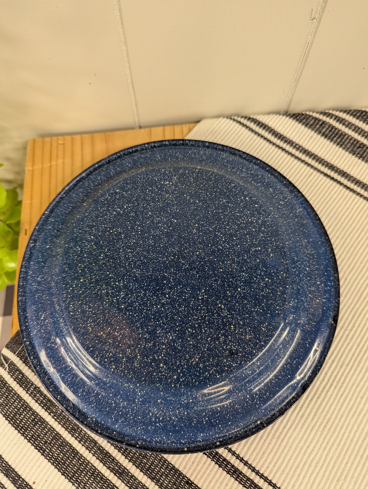 Blue Enamel Camp Plates