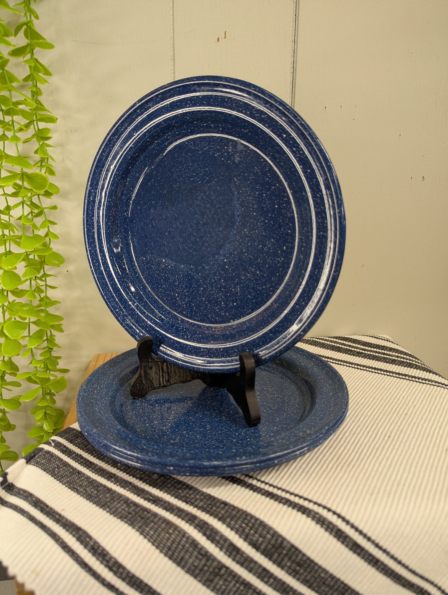 Blue Enamel Camp Plates
