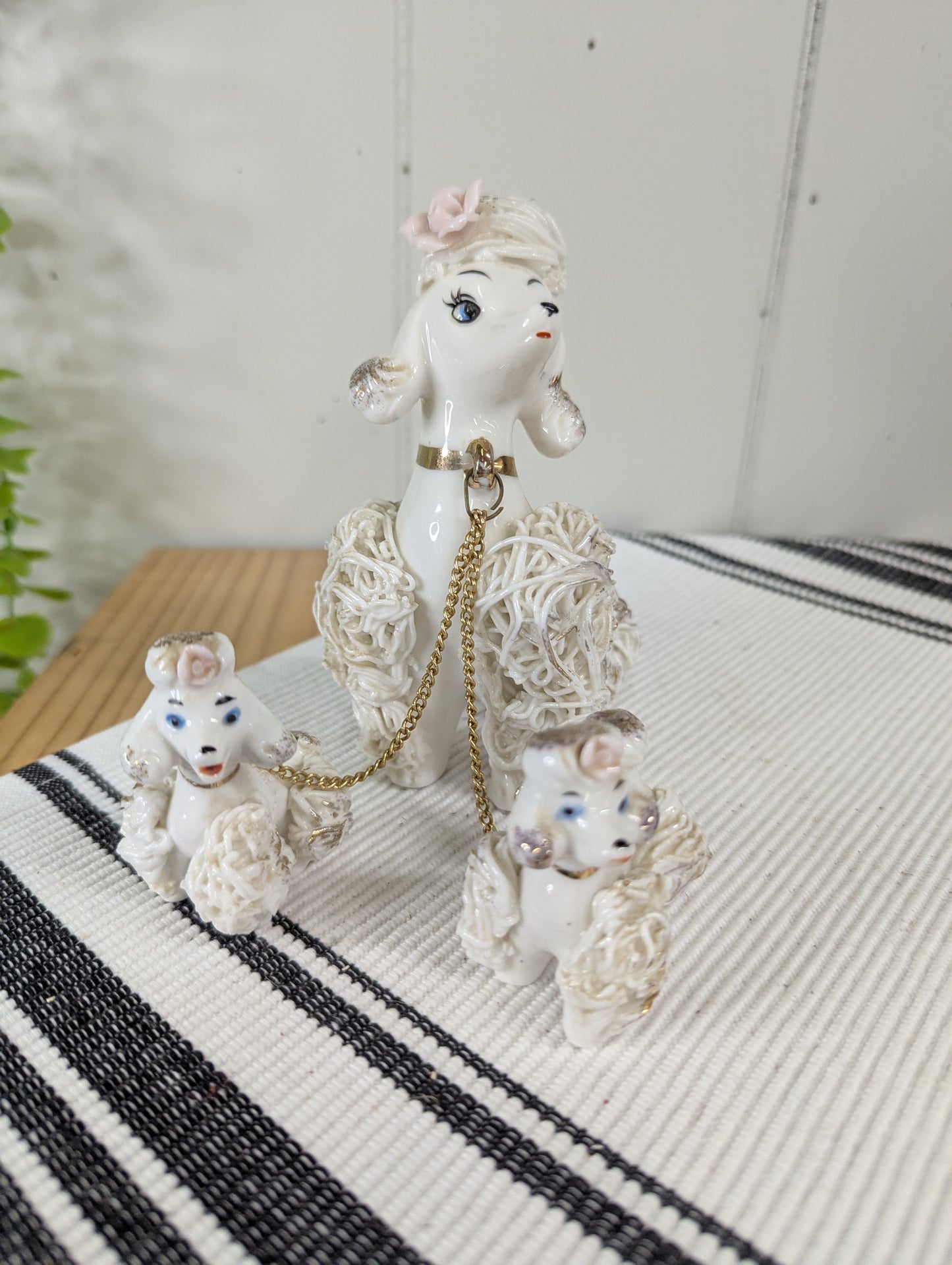 Spaghetti Noodle Poodle Mama and Pups