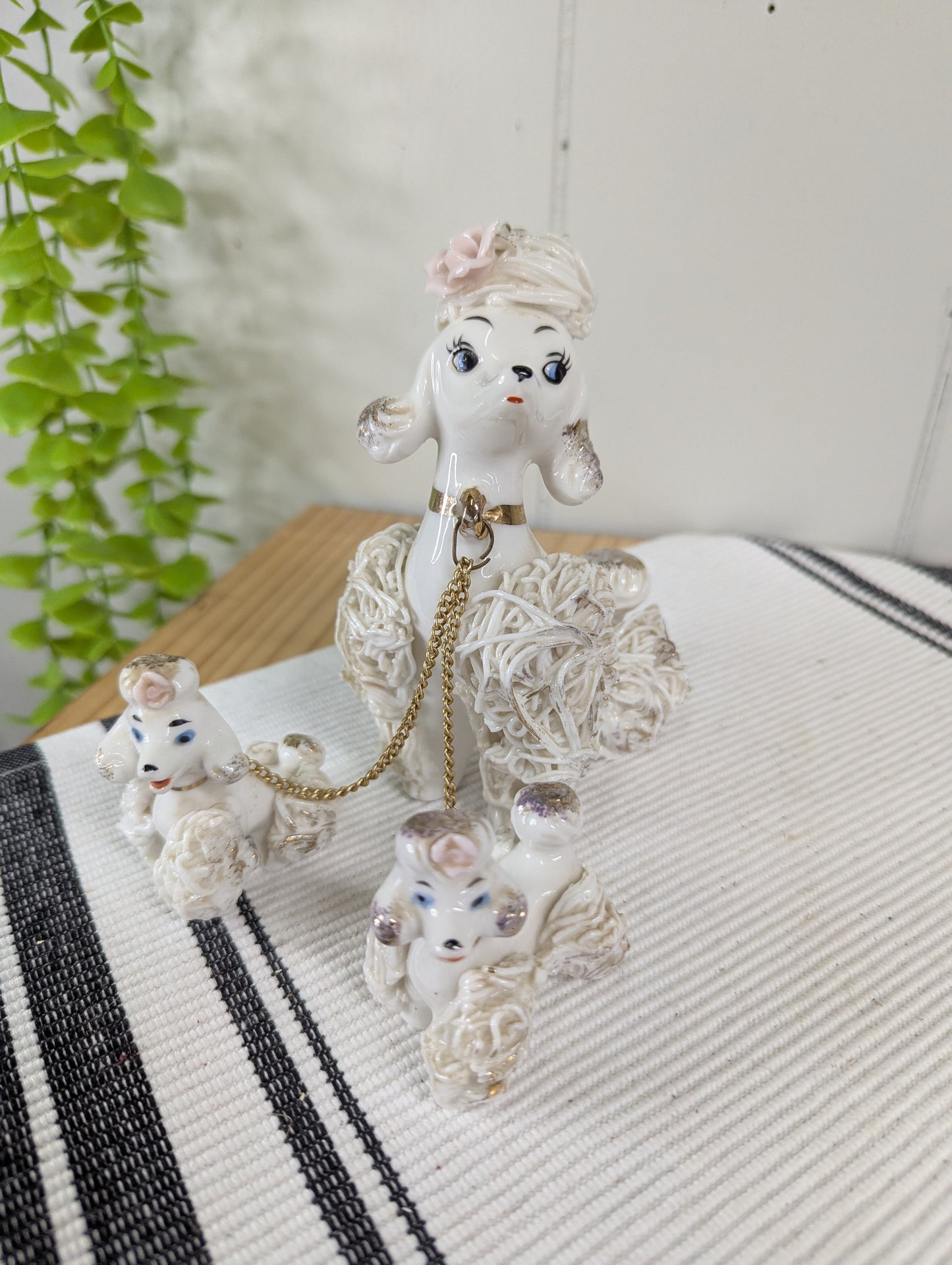 Spaghetti Noodle Poodle Mama and Pups
