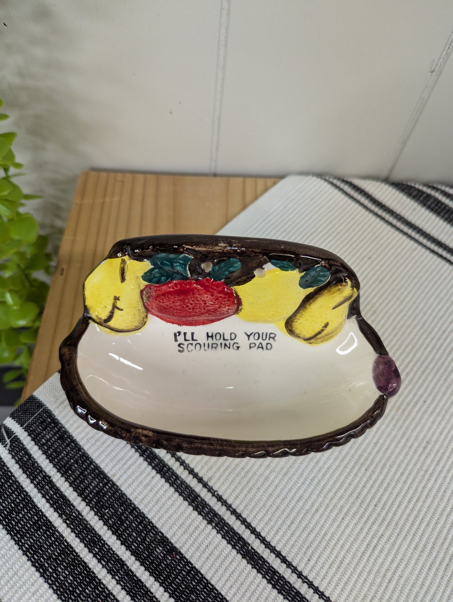 Scrub brush holder