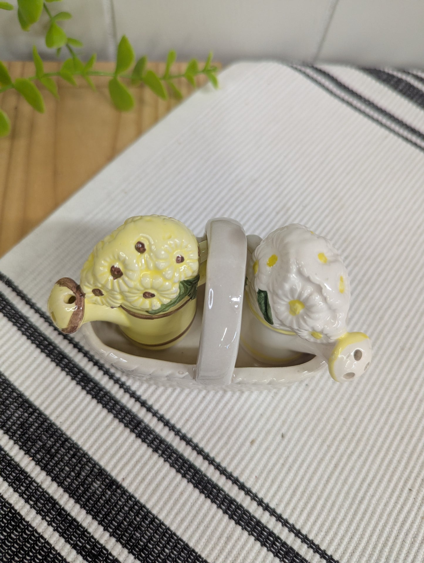 Watering Cans in Basket Salt and Pepper Shakers