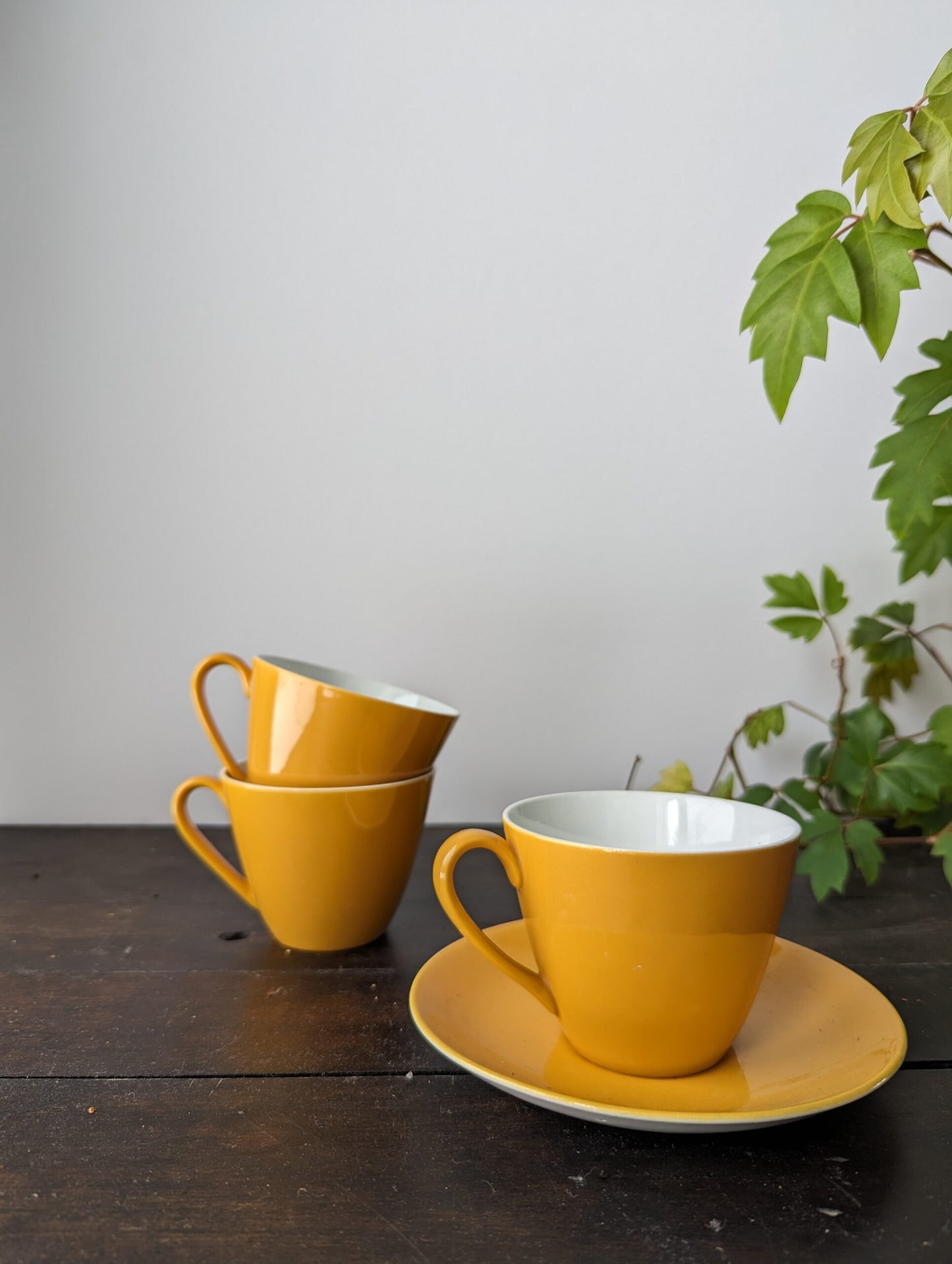 Myott's "China-Lyke" Golden Yellow Tea Cups and Saucer