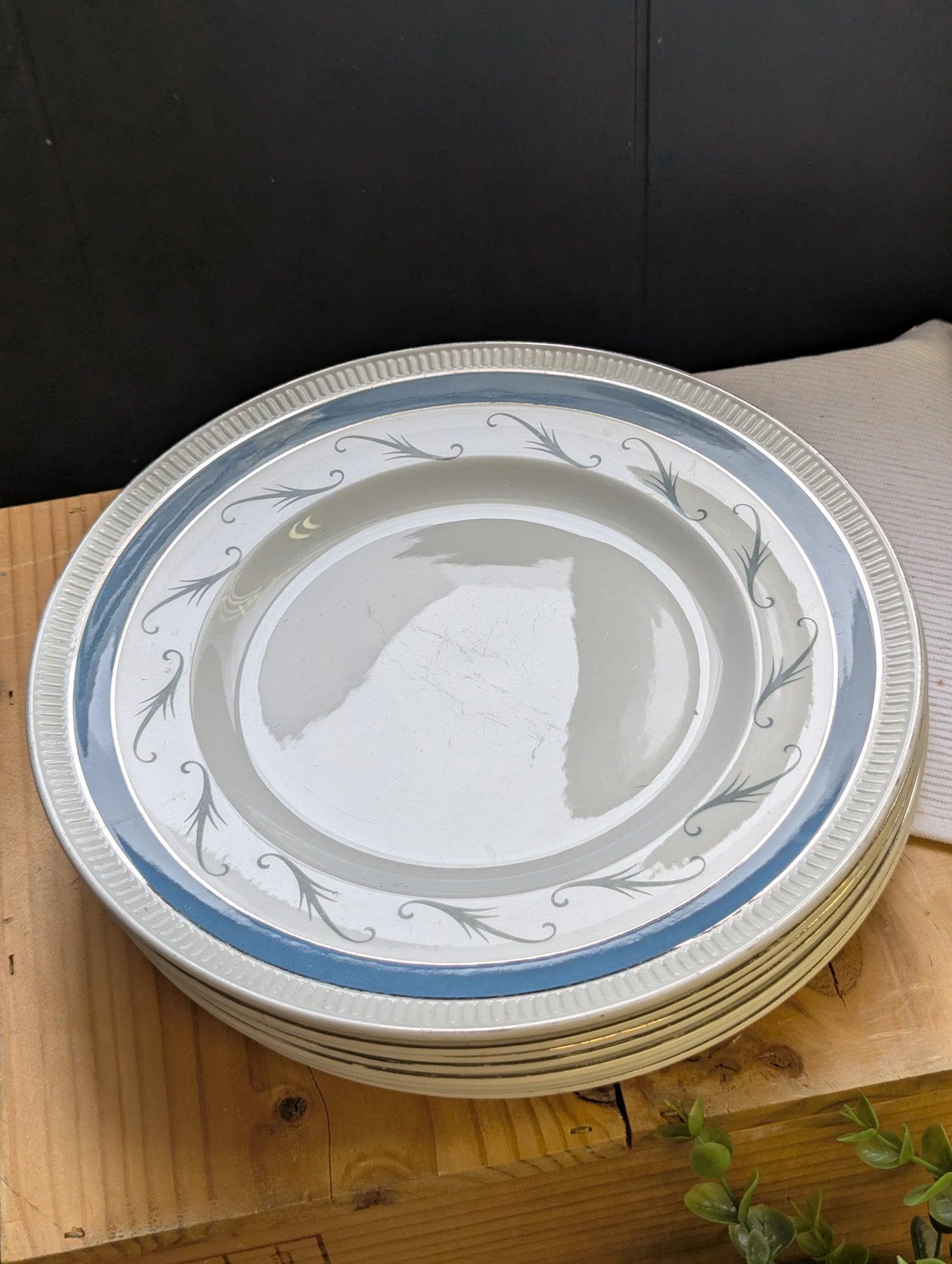 Simpson's Pottery Dinner Plates in Conway Pattern