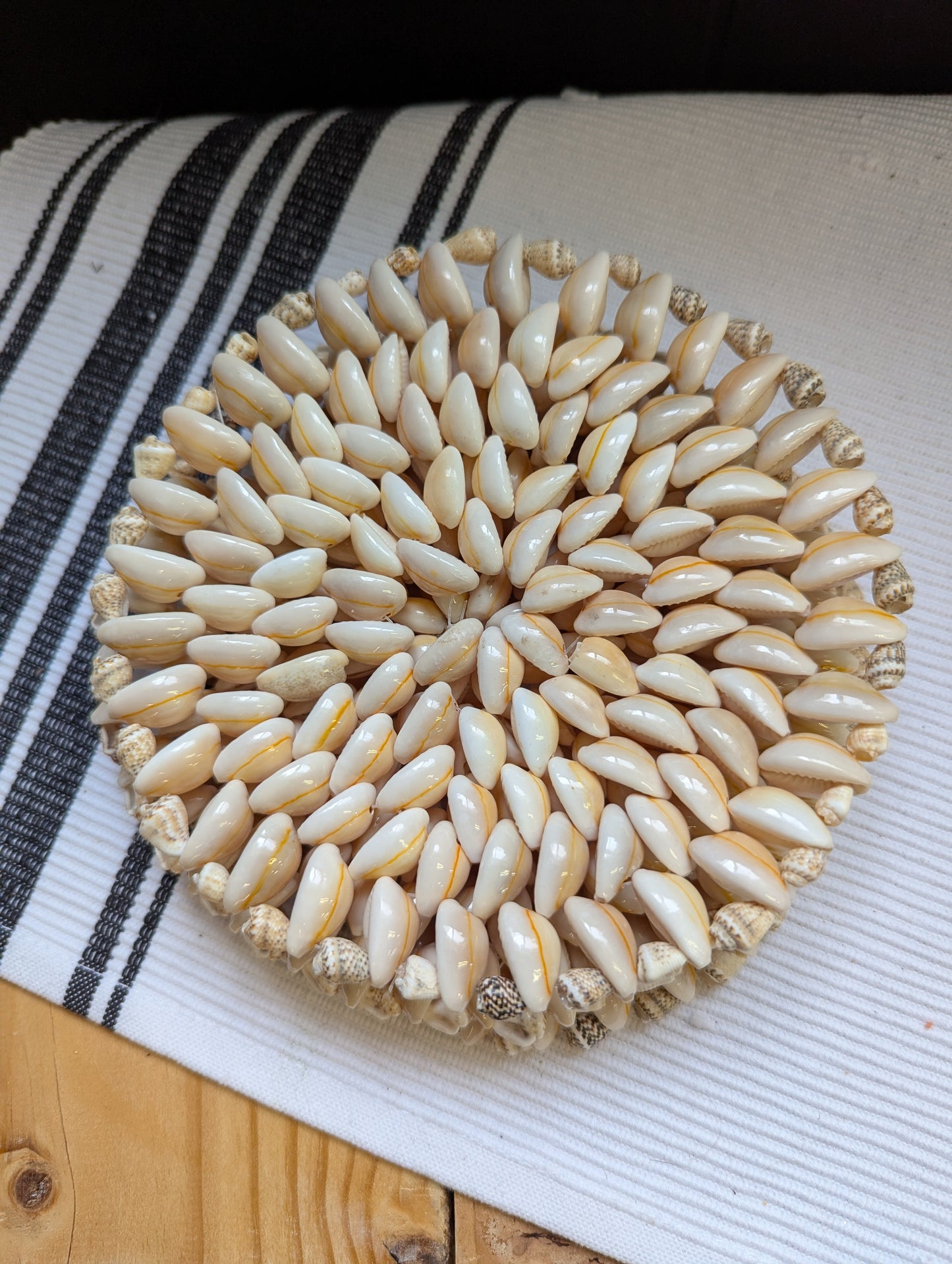 Cowrie Shell Trinket