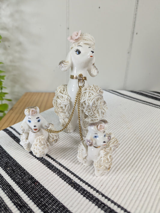 Spaghetti Noodle Poodle Mama and Pups